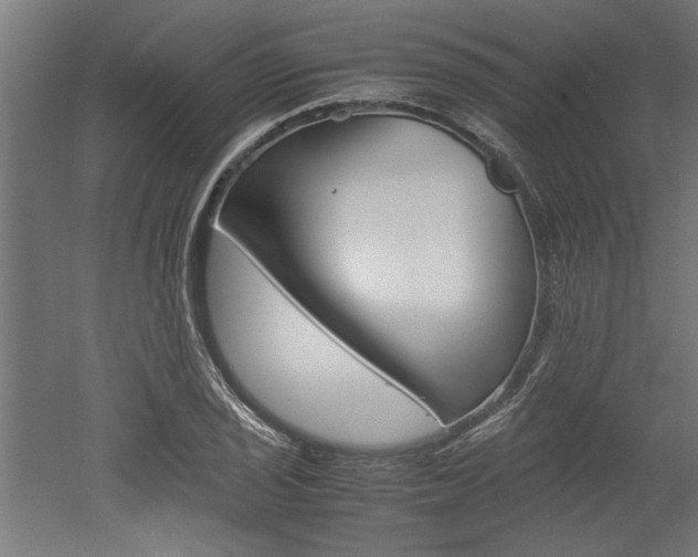 X0000052581029200507010908