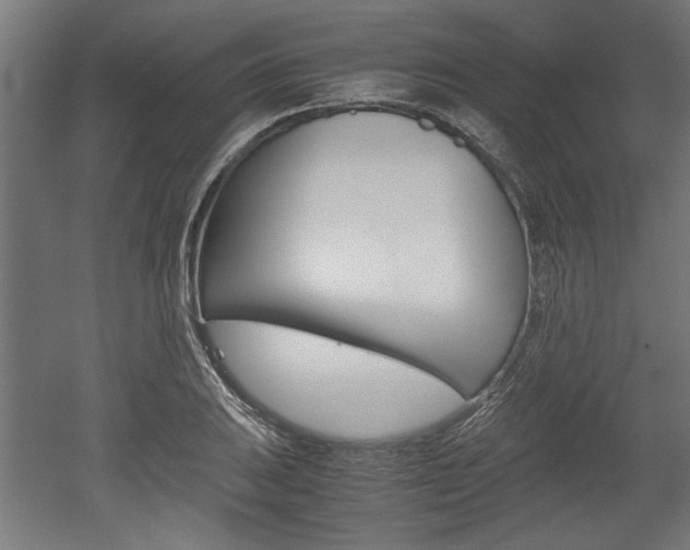X0000052581031200507010908