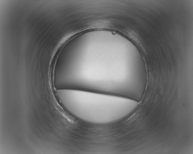X0000052581035200507010908