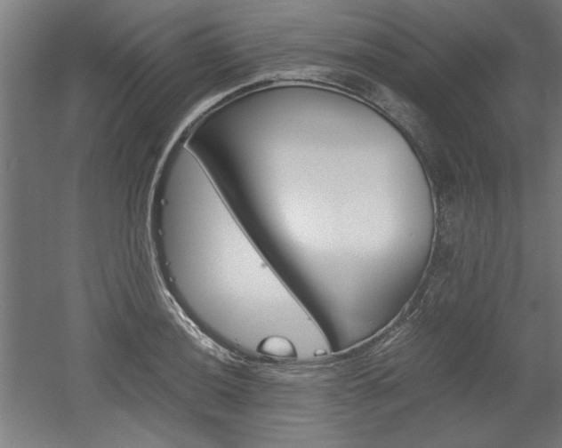X0000052581036200507010908