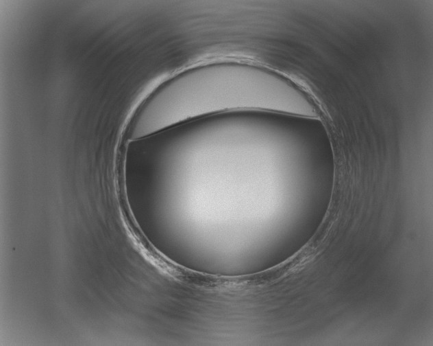 X0000052581038200507010908