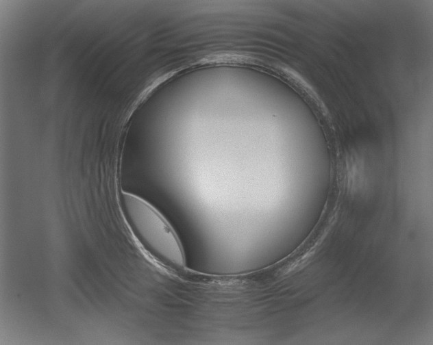 X0000052581041200507010908