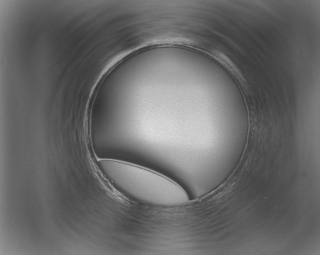 X0000052581044200507010908