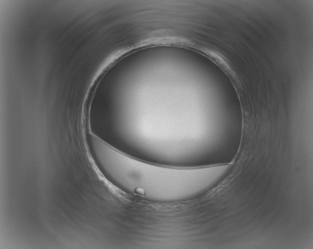 X0000052581046200507010908
