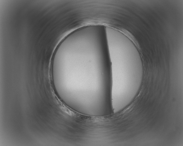 X0000052581052200507010908