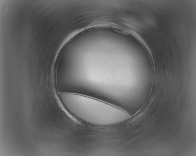 X0000052581053200507010908