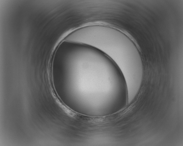 X0000052581054200507010908