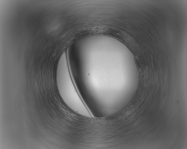 X0000052581058200507010908
