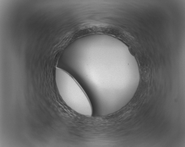 X0000052581061200507010907