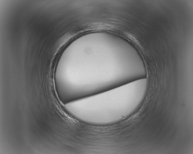 X0000052581071200507010907