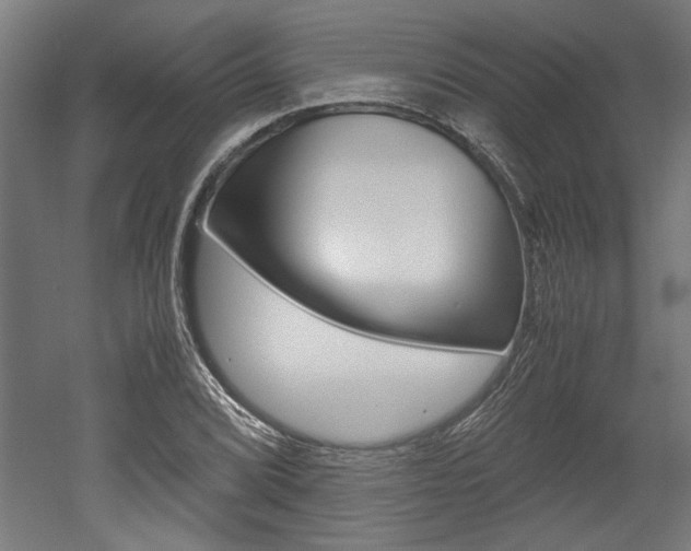 X0000052581072200507010907