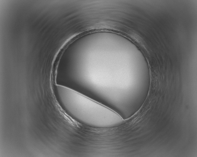 X0000052581076200507010907