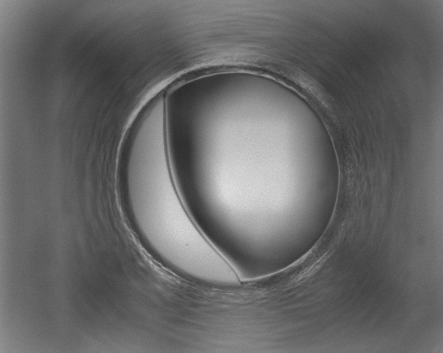 X0000052581077200507010907
