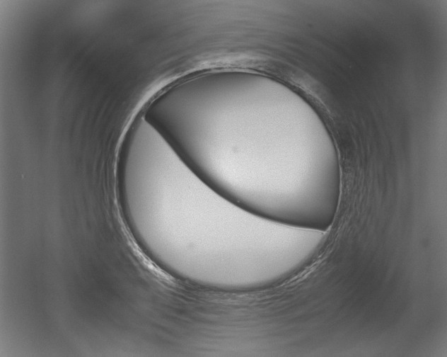 X0000052581079200507010907