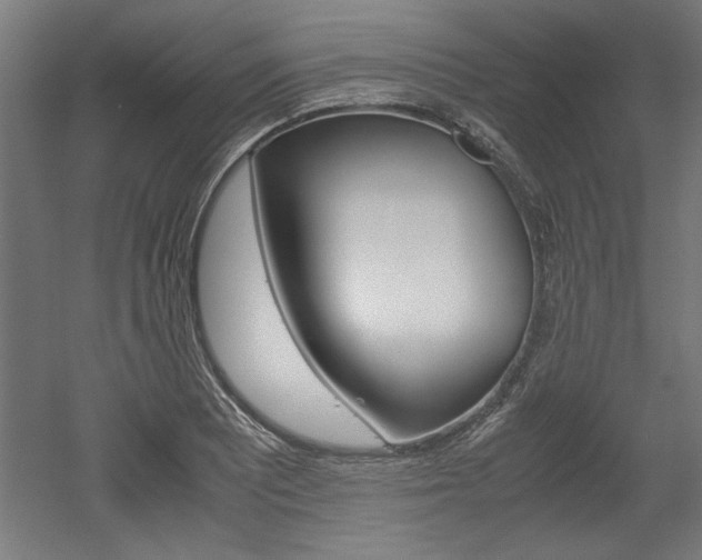 X0000052581081200507010907