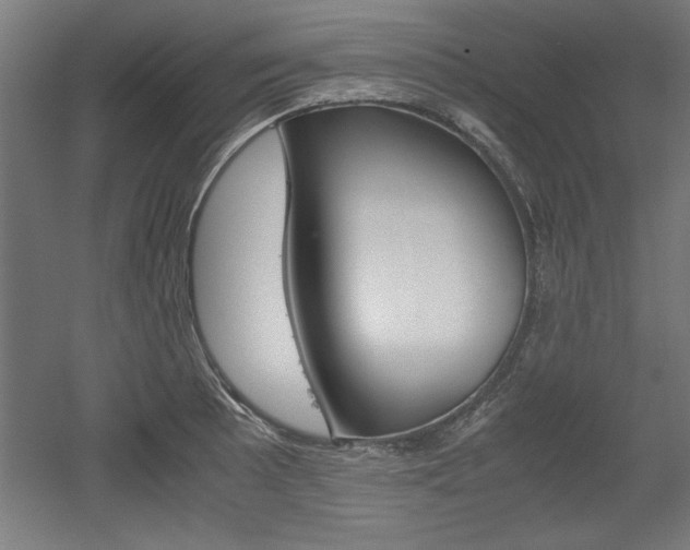 X0000052581089200507010907