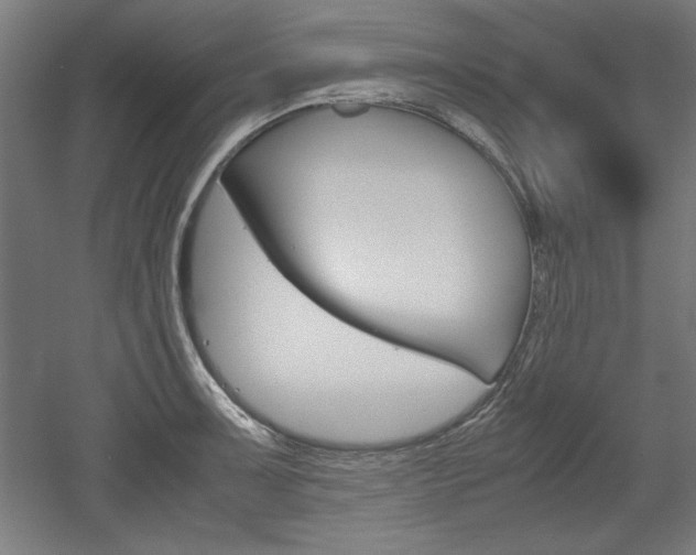 X0000052581091200507010907