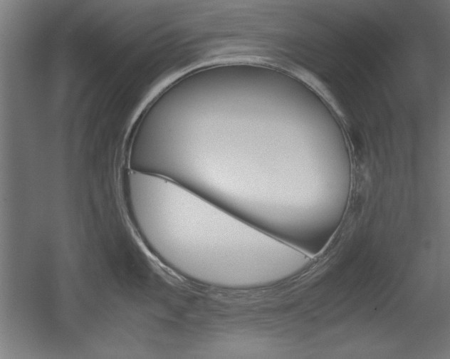 X0000052581101200507010907