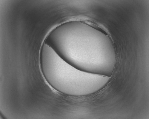 X0000052581103200507010907