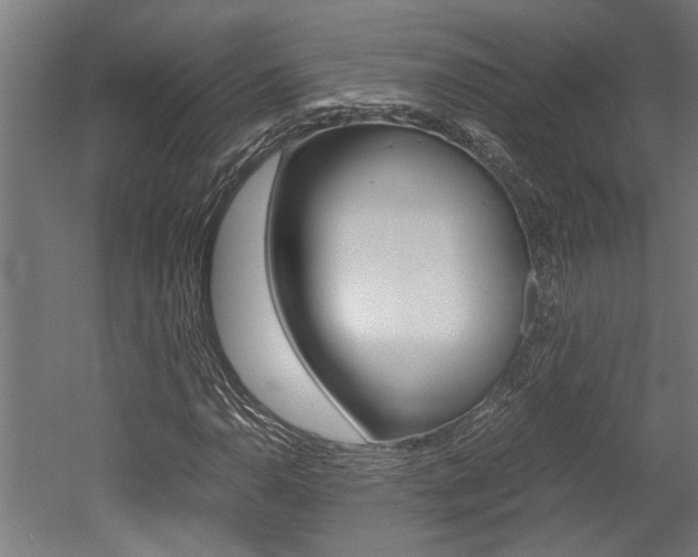 X0000052581110200507010906