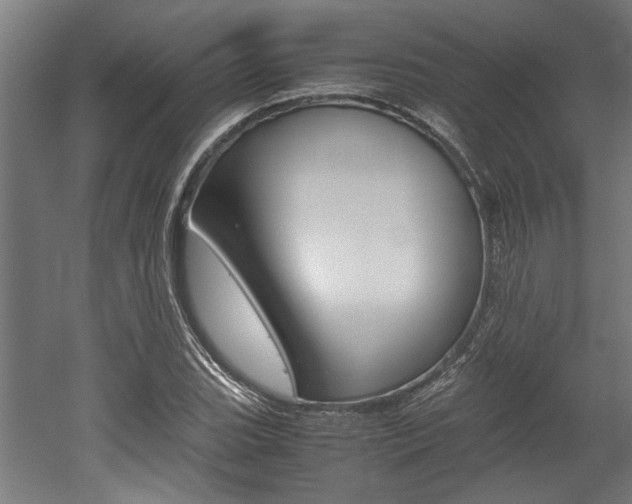 X0000052581119200507010906