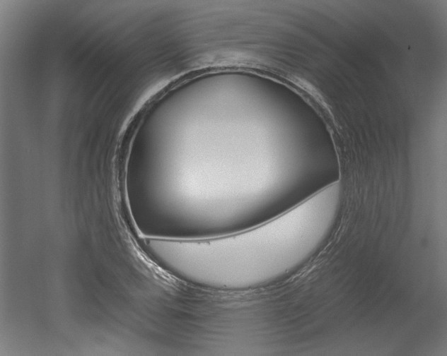 X0000052581120200507010906