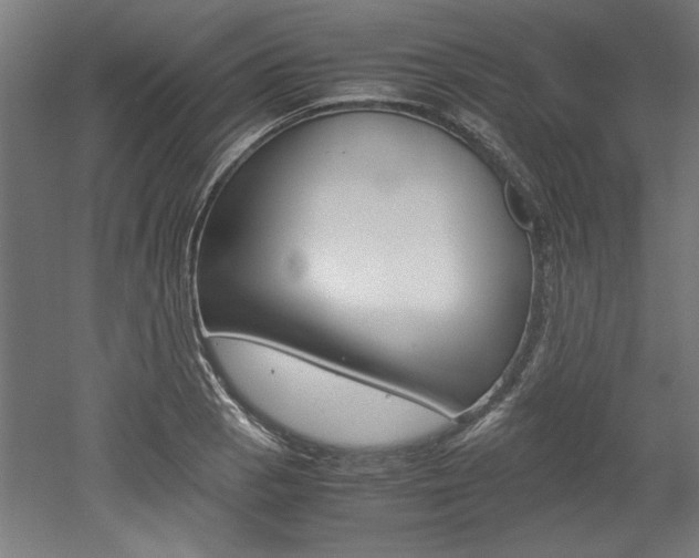 X0000052581129200507010906