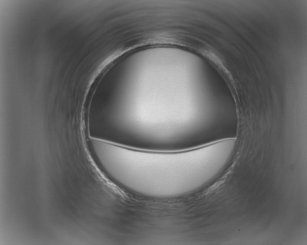 X0000052581133200507010906