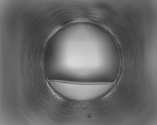 X0000052581137200507010906