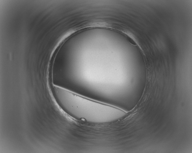 X0000052581139200507010907