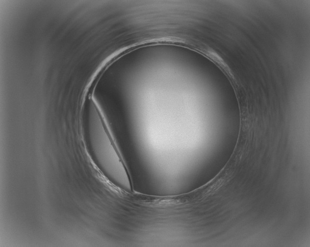 X0000052581140200507010907