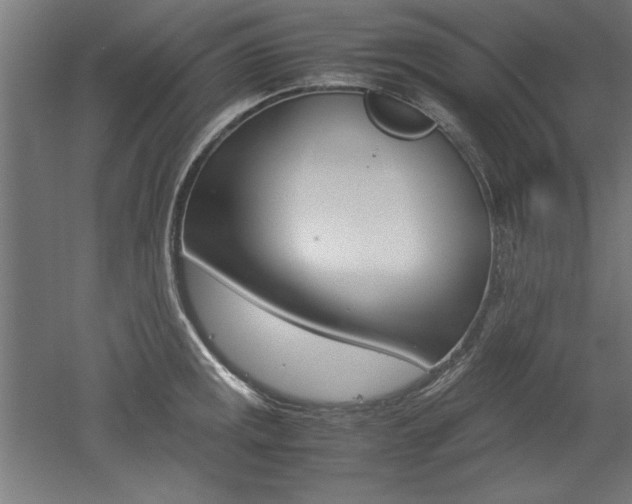 X0000052581141200507010907
