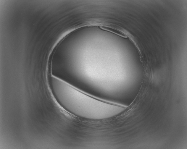 X0000052581147200507010907