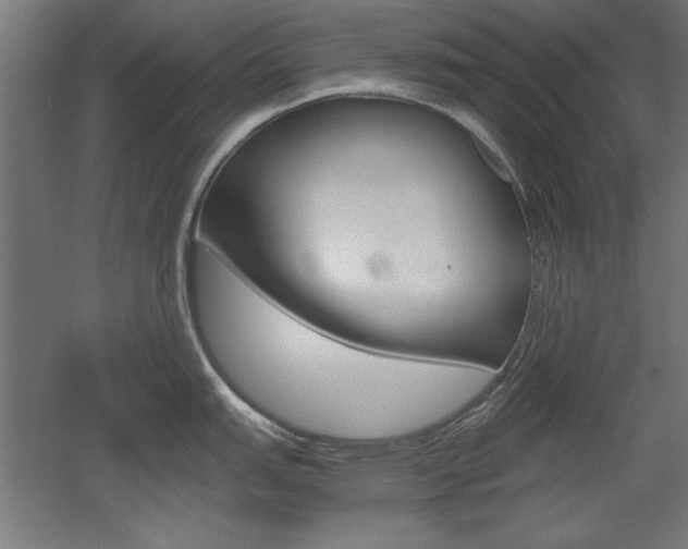 X0000052581151200507010907
