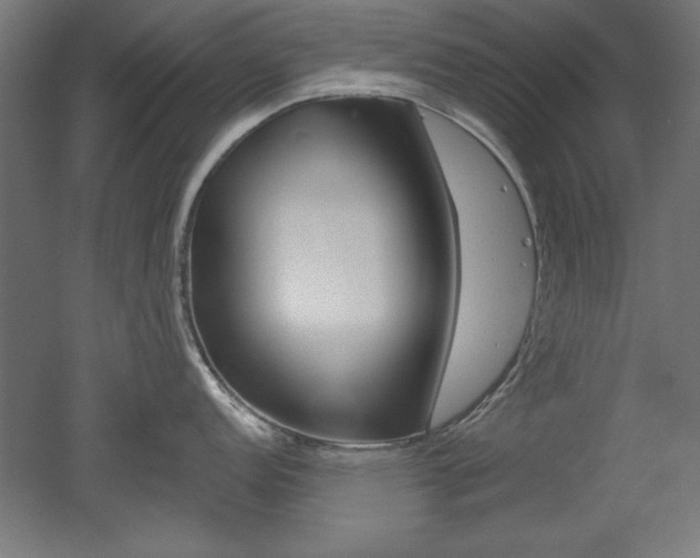 X0000052581152200507010907