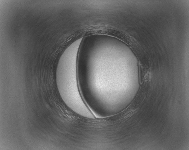 X0000052581156200507010906