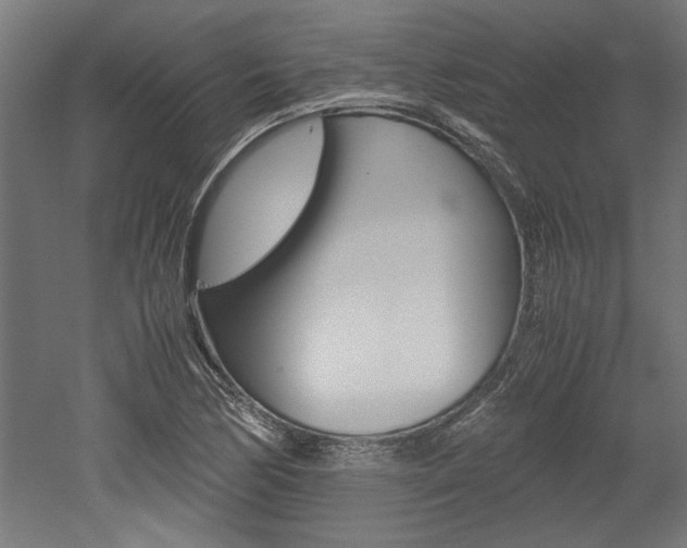 X0000052581170200507010906