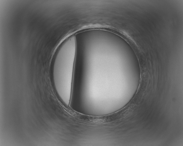 X0000052581173200507010906