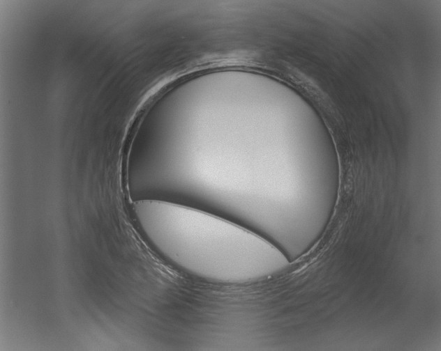 X0000052581174200507010906