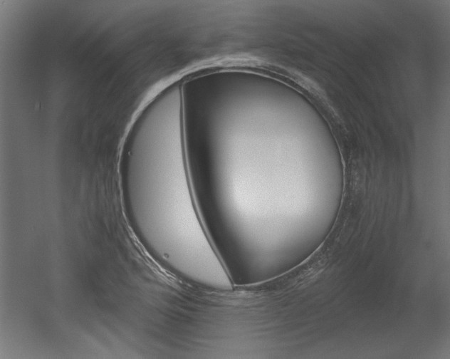 X0000052581176200507010906
