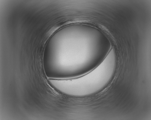 X0000052581177200507010906