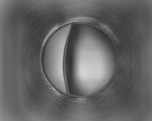 X0000052581180200507010905