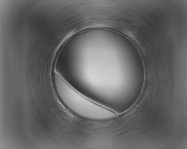 X0000052581181200507010905