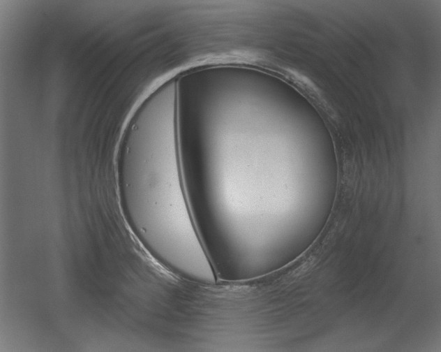 X0000052581184200507010905