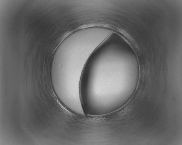 X0000052581185200507010905