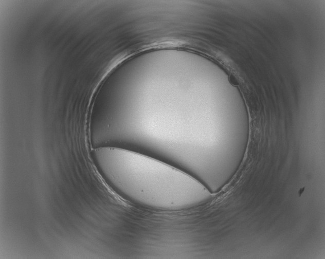 X0000052581186200507010905