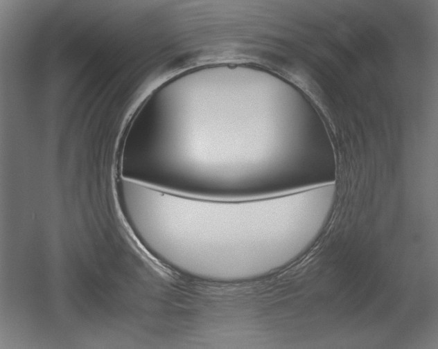 X0000052581187200507010905