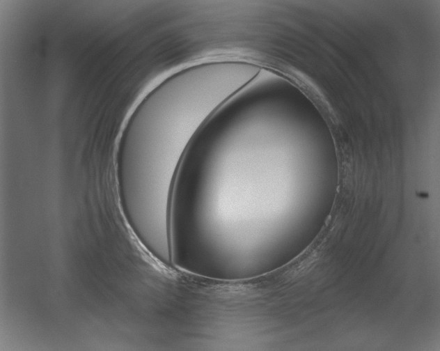 X0000052581192200507010905