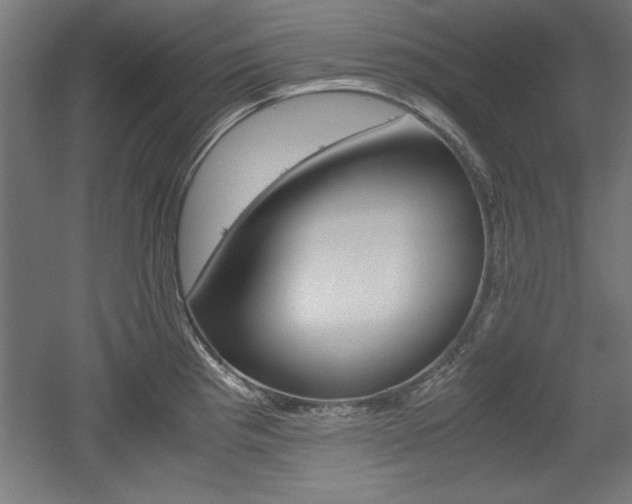 X0000052581193200507010905