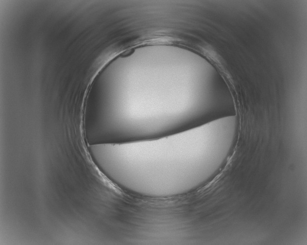 X0000052581194200507010905